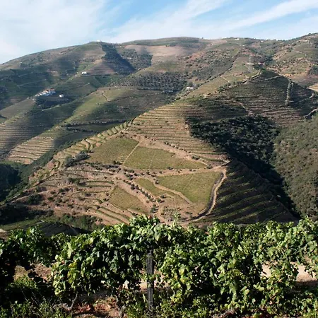 Quinta Das Cabanas Alloggio per agriturismo São João da Pesqueira